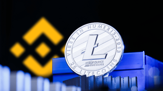 Binance Will Not Support Litecoin Deposits and Withdrawals That Use MimbleWimble Extension